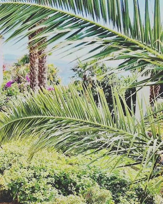 Mypalmassuite With Free Parking In Opatija Croatia
